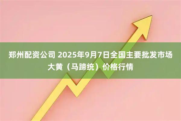 郑州配资公司 2025年9月7日全国主要批发市场大黄（马蹄统）价格行情