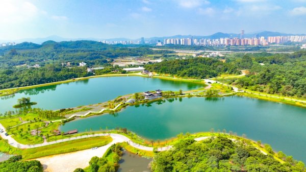 配资中国登录 是什么，撑起了黄埔的“高颜值”？